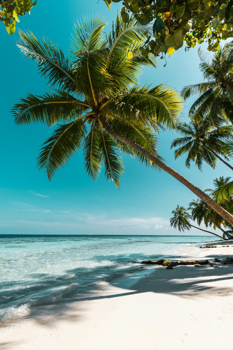 Praia tropical com coqueiros, areia branca e mar azul-turquesa
